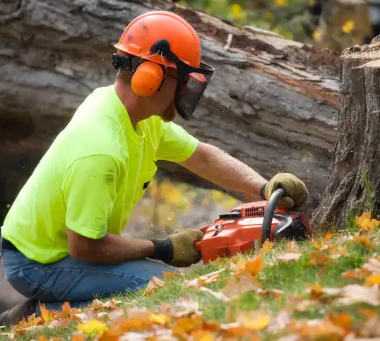 tree services The Lakes